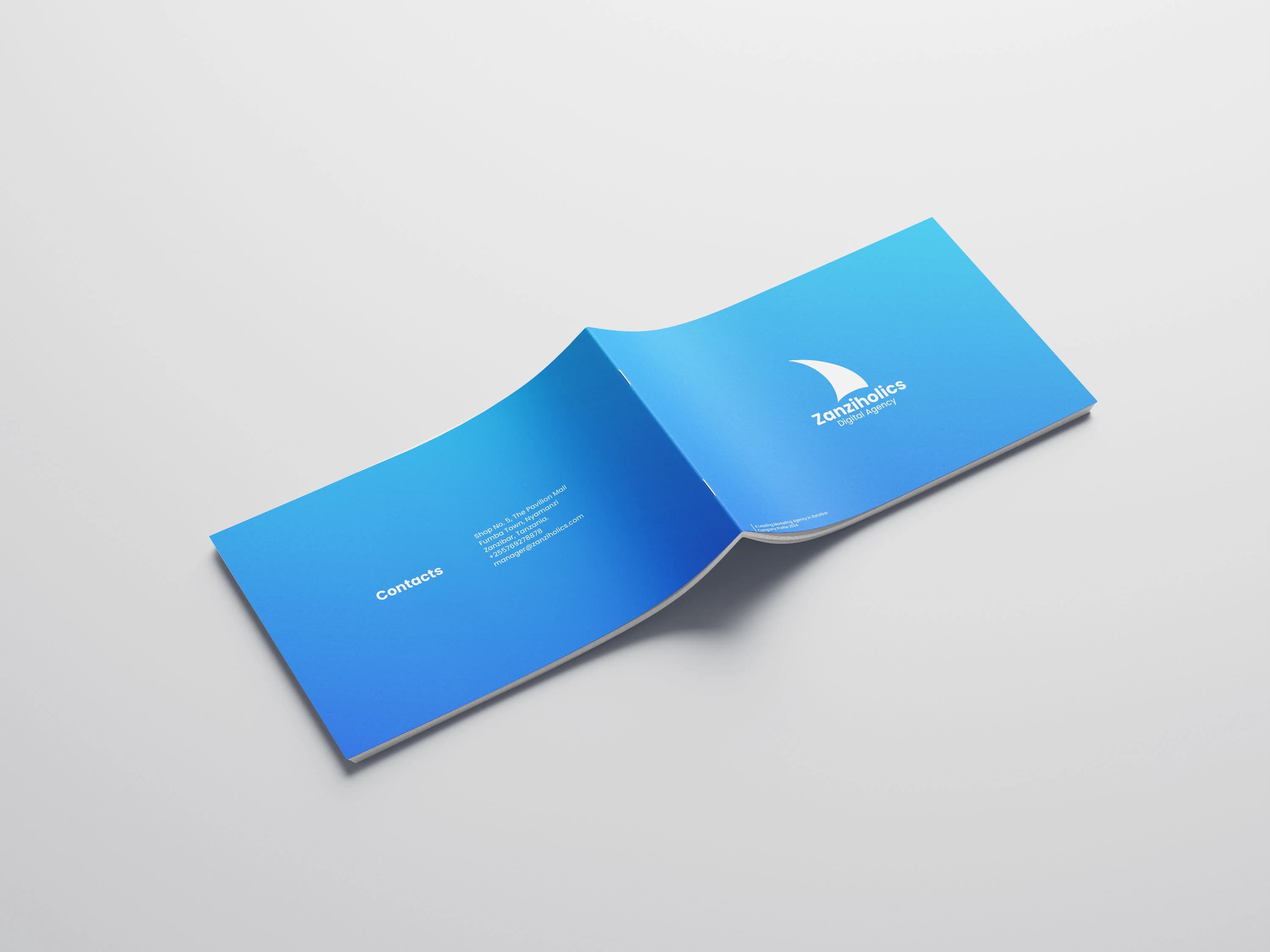 Zanziholic Digital Agency - Image 3