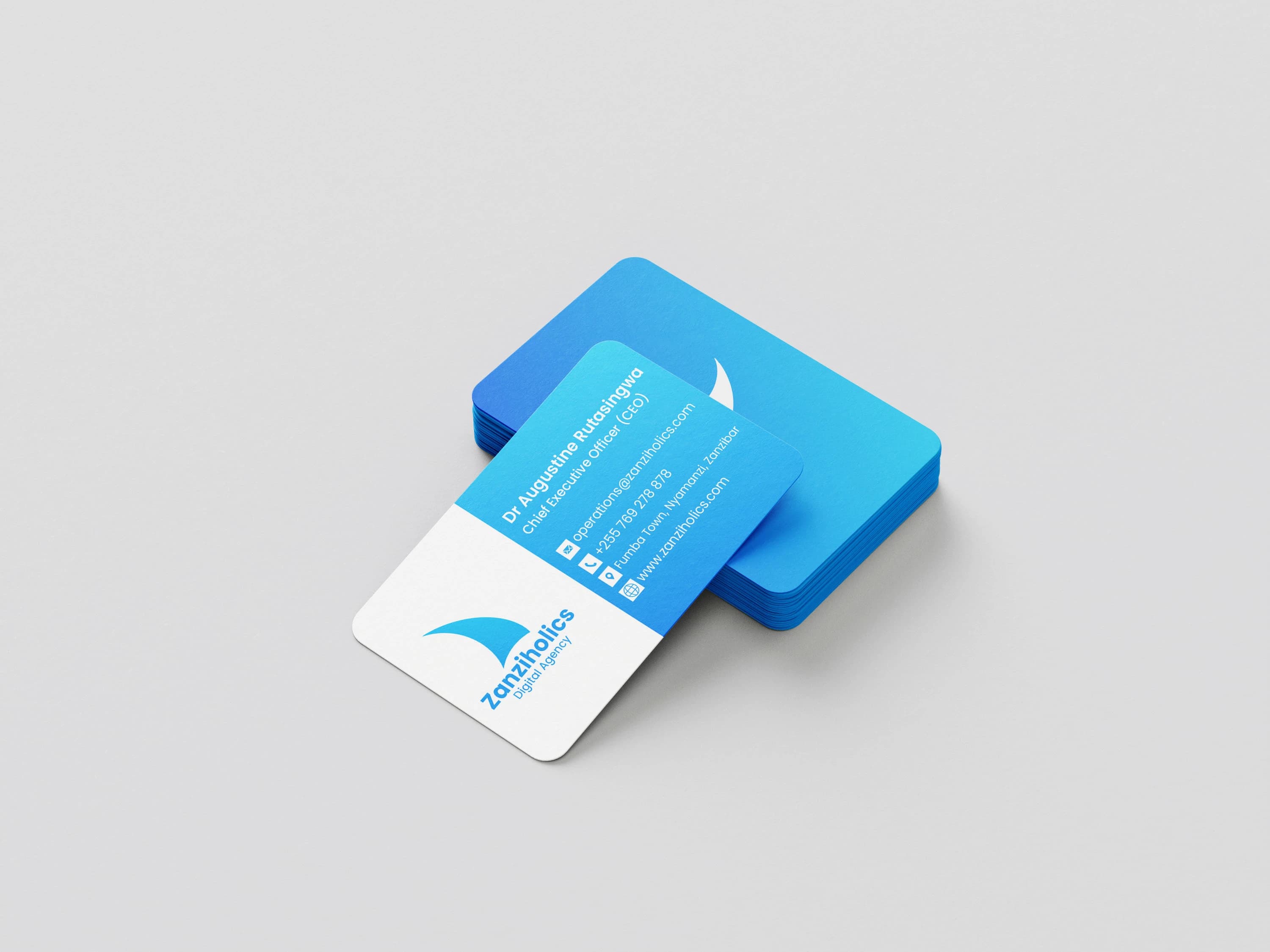 Zanziholic Digital Agency - Image 7