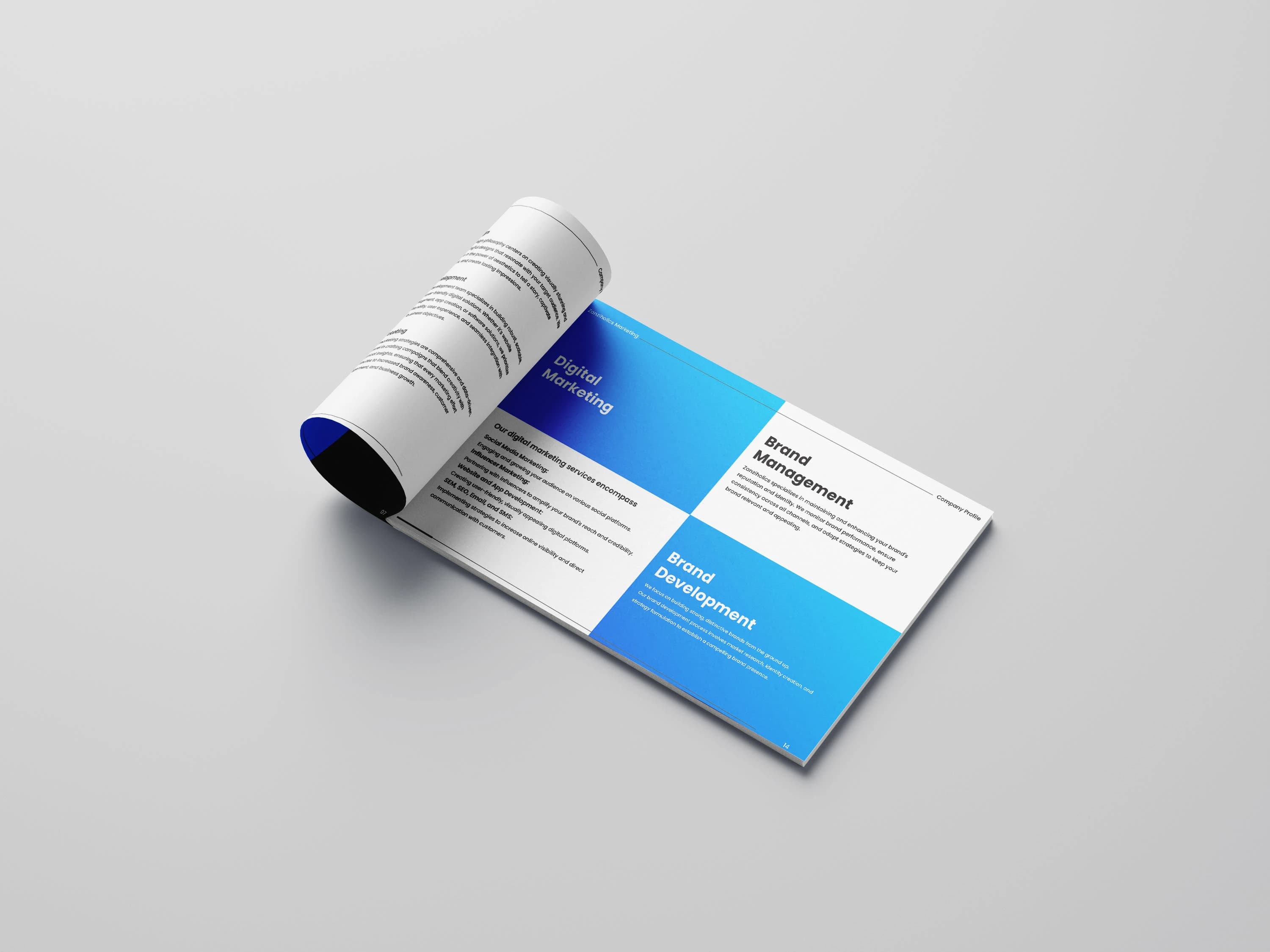 Zanziholic Digital Agency - Image 4